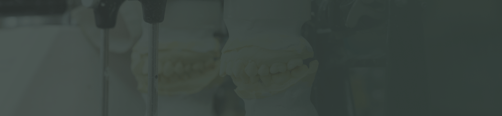 歯の模型が並んだ背景